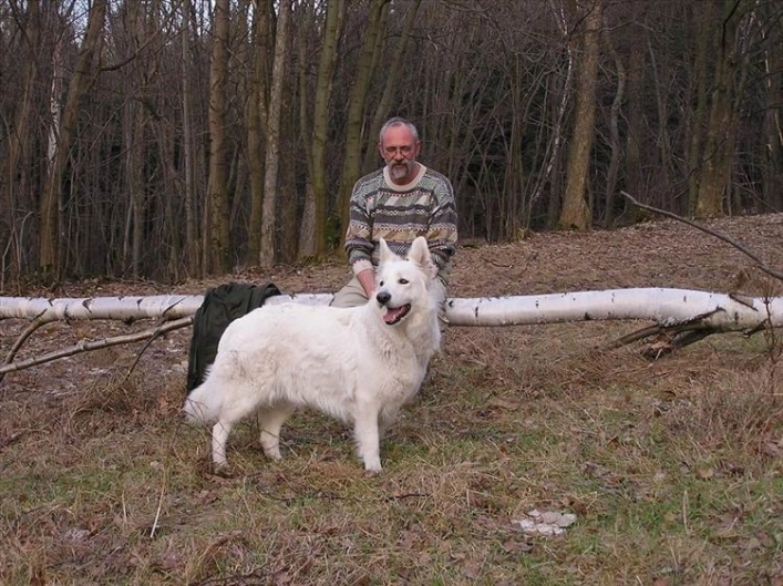 zobacz camping - zdjęcie 2