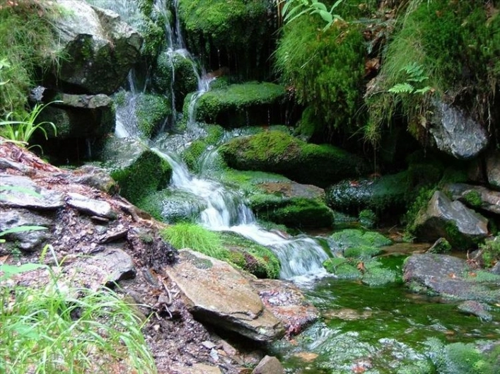 Camping u Dvou Orechu - zdjęcie 1