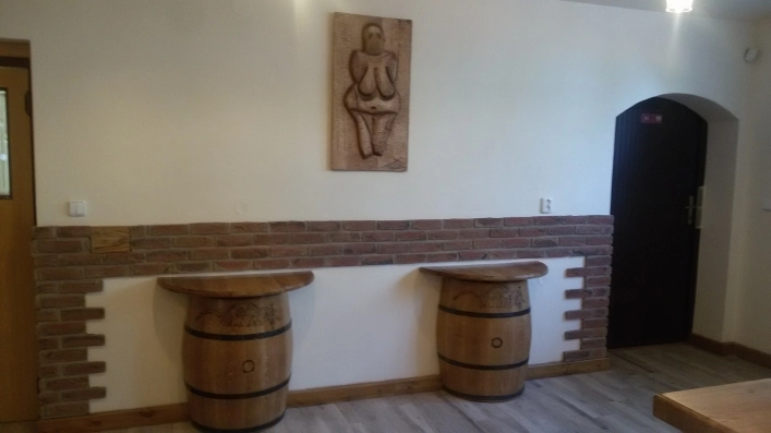 Camping U Vody Dolni Vestonice - zdjęcie 1