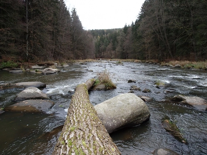 Camping Žebrakov - zdjęcie 1