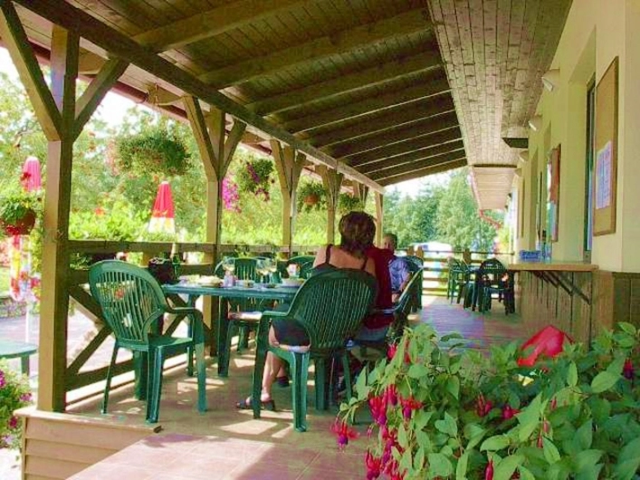 zobacz camping - zdjęcie 10