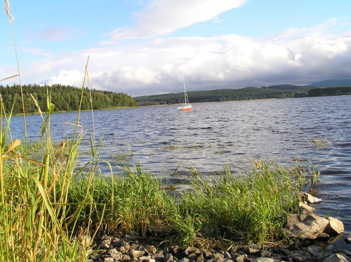 zobacz camping - zdjęcie 3