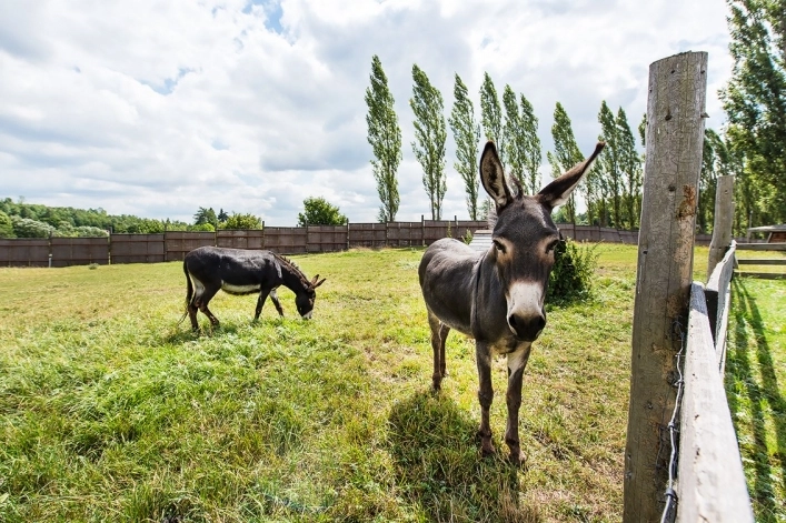 zobacz camping - zdjęcie 2