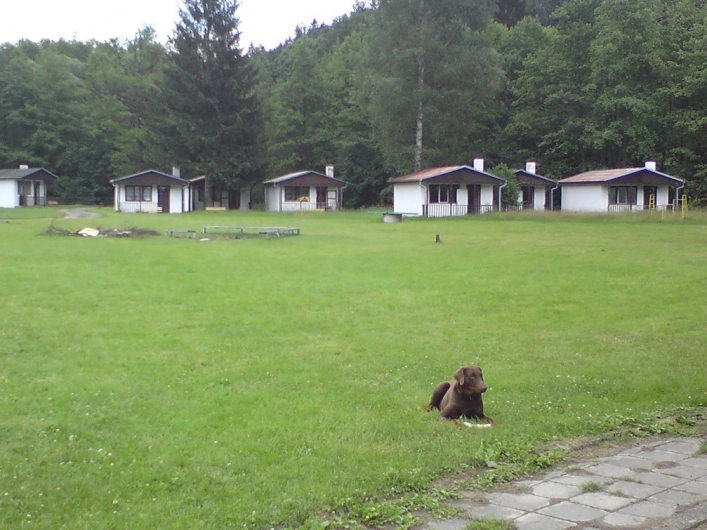 zobacz camping - zdjęcie 7