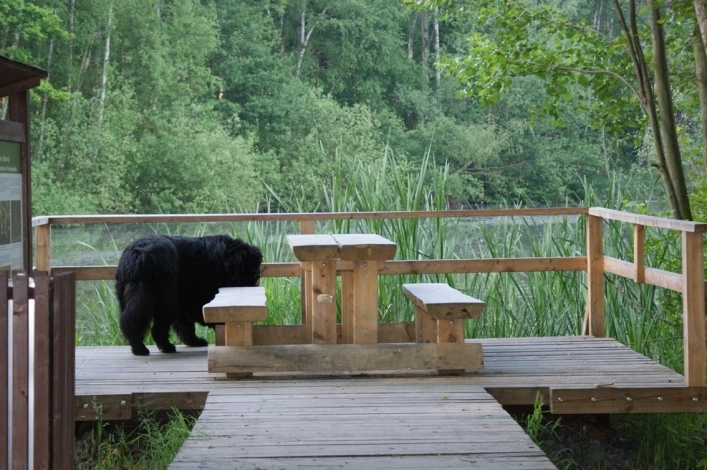 Jes-Autokemp Krystyna - zdjęcie 4