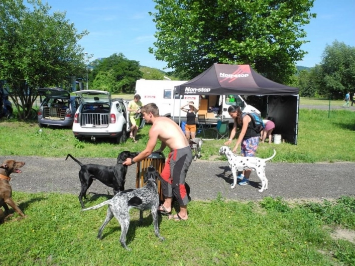 zobacz camping - zdjęcie 24