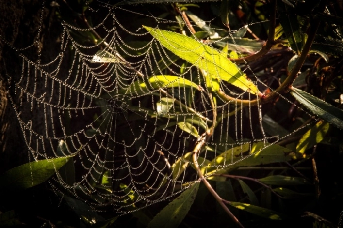 zobacz camping - zdjęcie 7