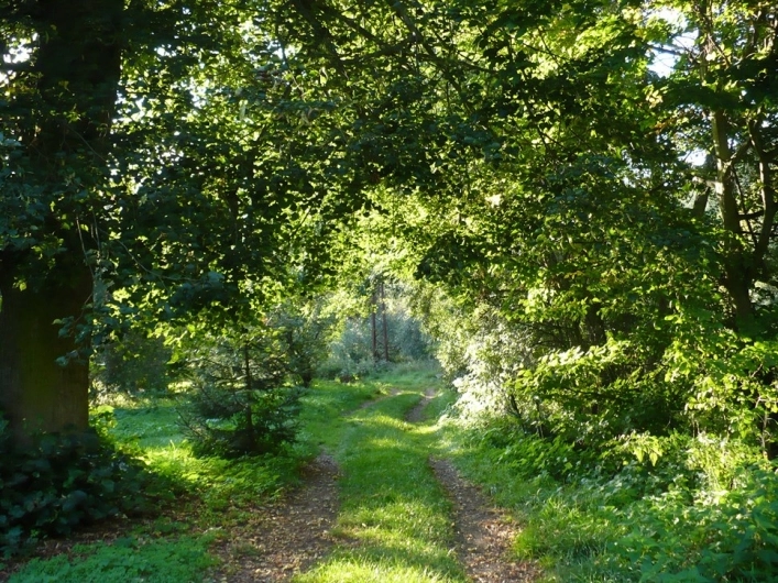 zobacz camping - zdjęcie 9