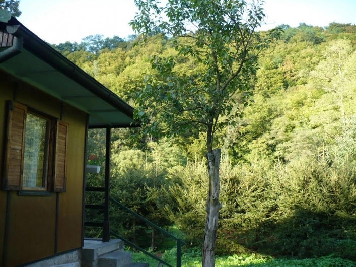 zobacz camping - zdjęcie 5