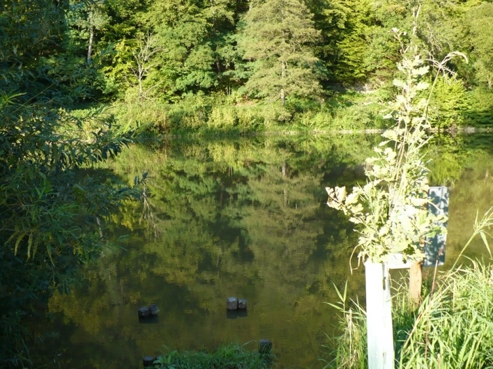 zobacz camping - zdjęcie 3