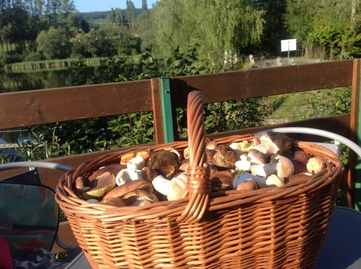 zobacz camping - zdjęcie 12