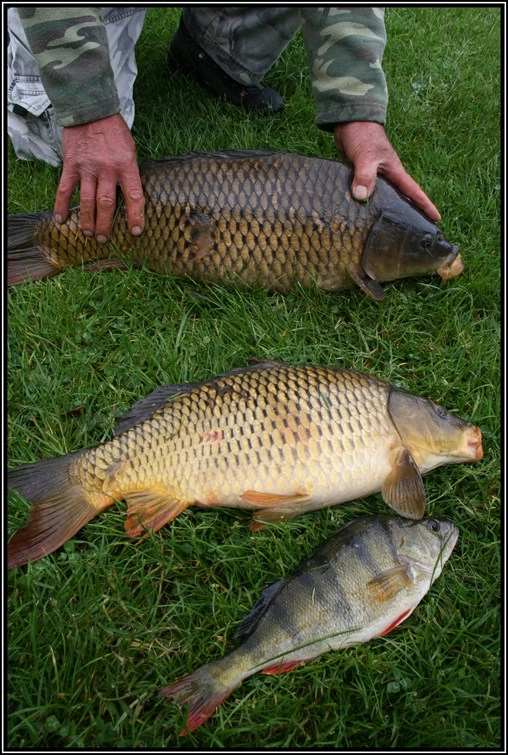 Kemp Úbislav - zdjęcie 2