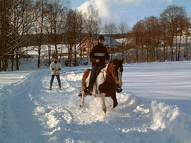 zobacz camping - zdjęcie 13
