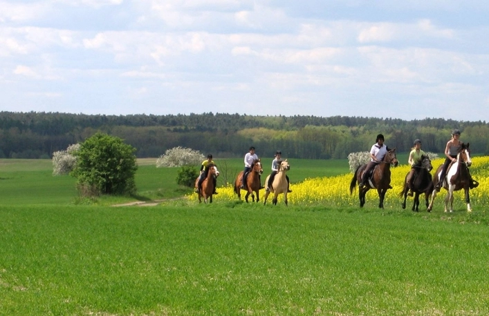 zobacz camping - zdjęcie 9