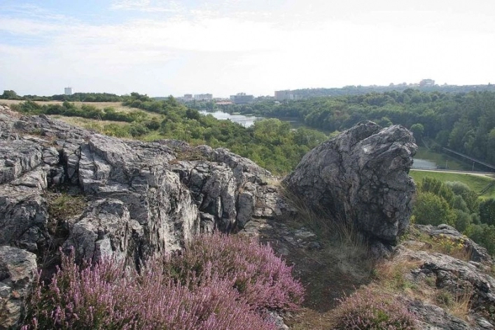 Prague Camping Dzban - zdjęcie 1