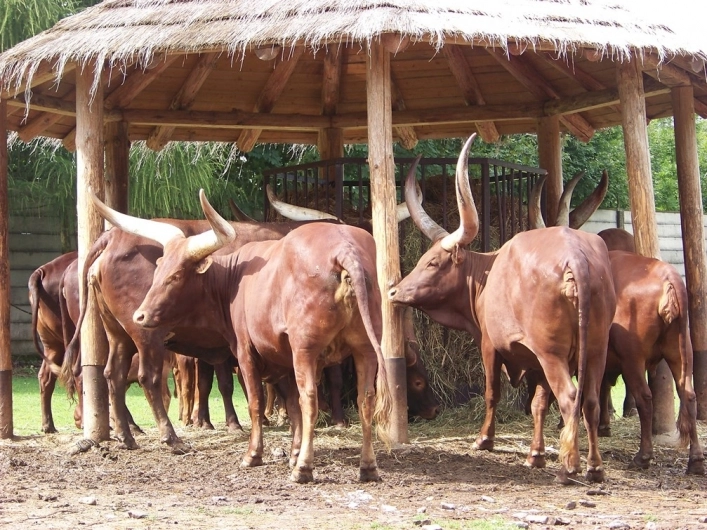 zobacz camping - zdjęcie 3