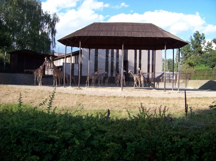 Safaricamp - zdjęcie 1