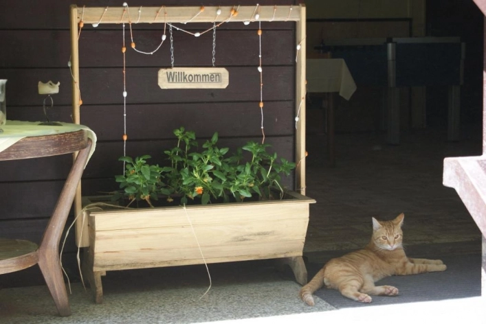 zobacz camping - zdjęcie 9