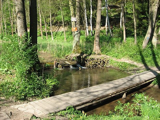 zobacz camping - zdjęcie 12