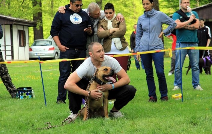 zobacz camping - zdjęcie 10