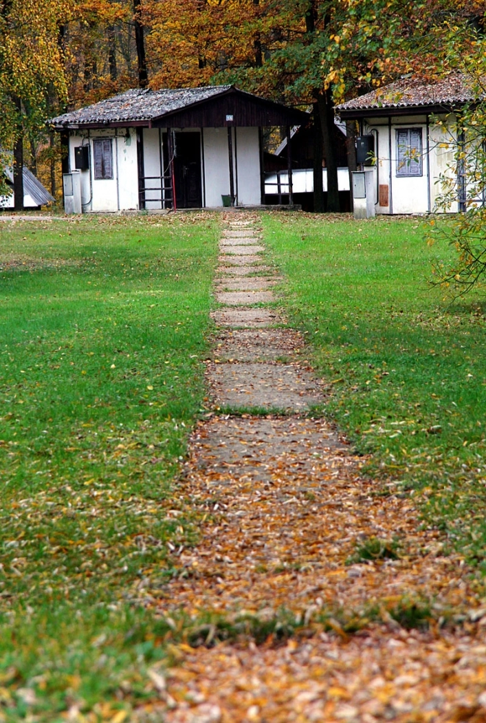 zobacz camping - zdjęcie 8