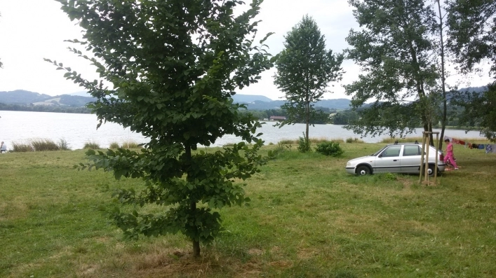 Autokemp Olesna - zdjęcie 1