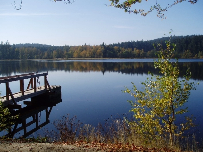 zobacz camping - zdjęcie 9