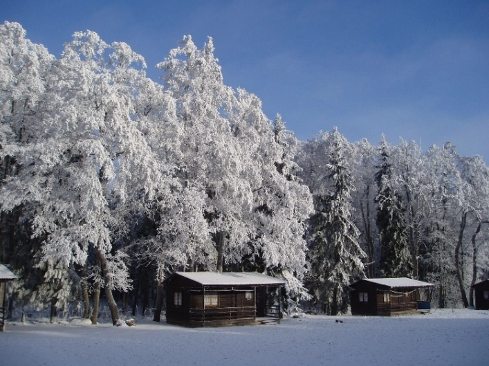 zobacz camping - zdjęcie 8