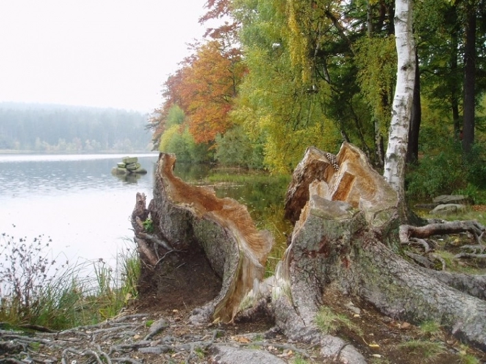 zobacz camping - zdjęcie 6