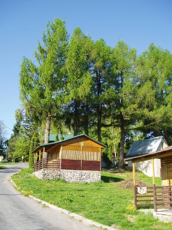 Camp Velkopařezit&#253; - zdjęcie 2