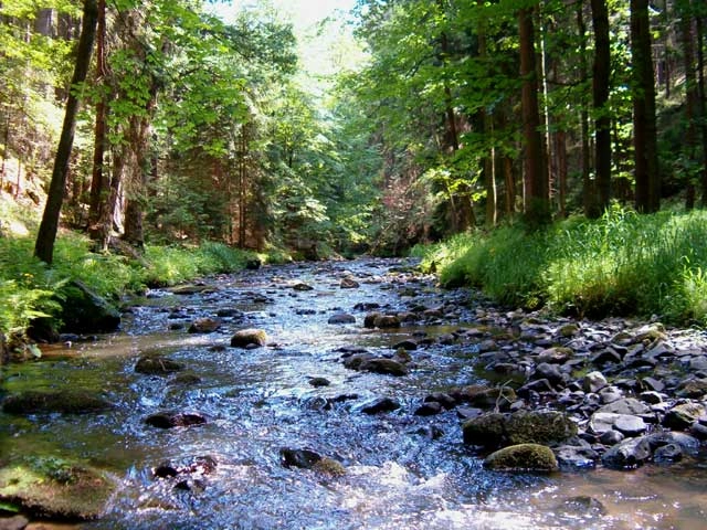 zobacz camping - zdjęcie 7