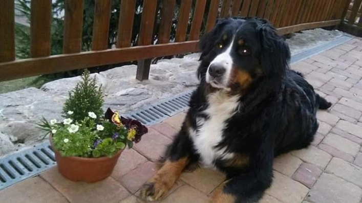 zobacz camping - zdjęcie 9