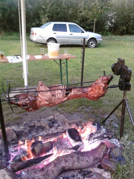 zobacz camping - zdjęcie 6