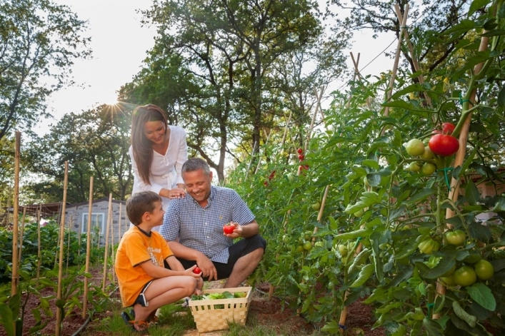 zobacz camping - zdjęcie 54