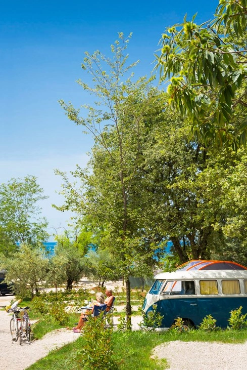 zobacz camping - zdjęcie 22