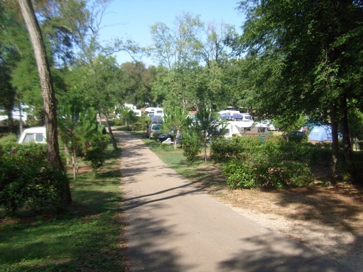 zobacz camping - zdjęcie 14