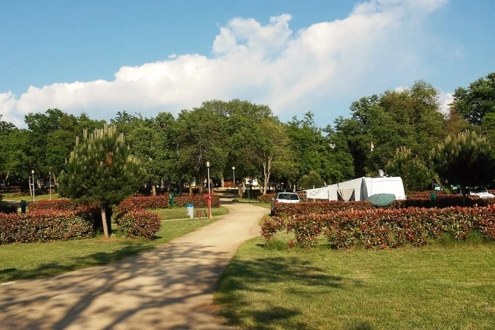 zobacz camping - zdjęcie 4