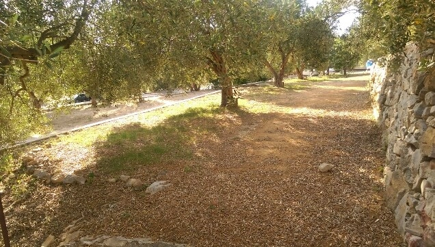 zobacz camping - zdjęcie 22