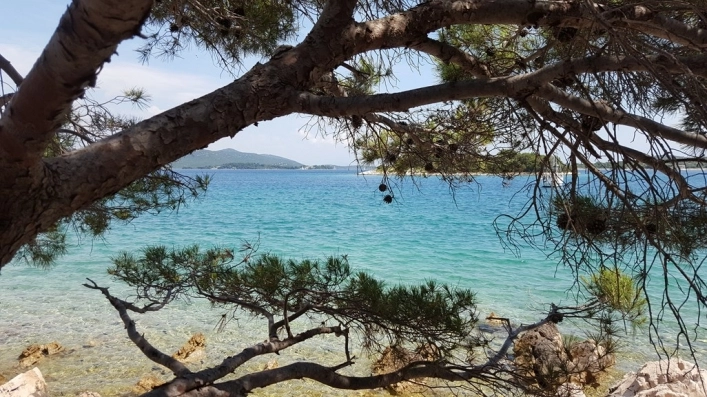 zobacz camping - zdjęcie 7