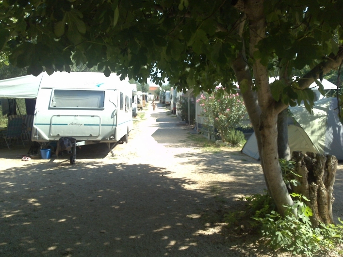 zobacz camping - zdjęcie 11