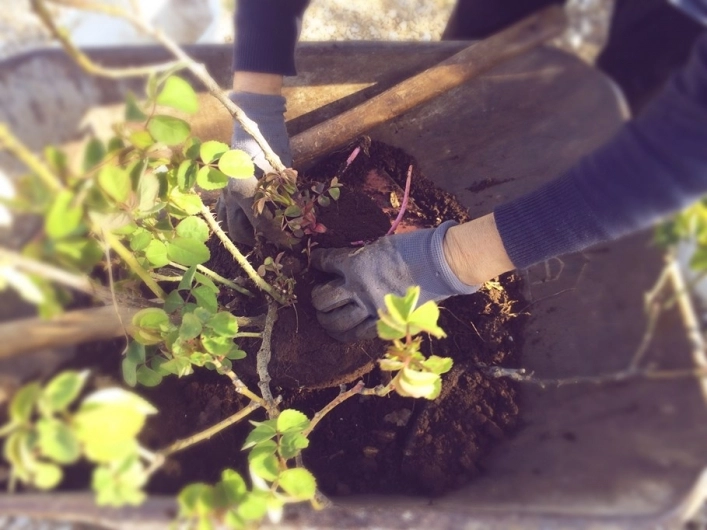 Autocamp Biokovo - zdjęcie 2