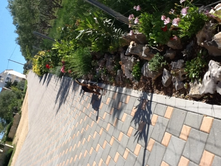 zobacz camping - zdjęcie 10