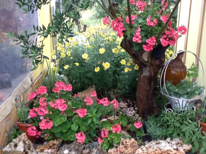 zobacz camping - zdjęcie 9