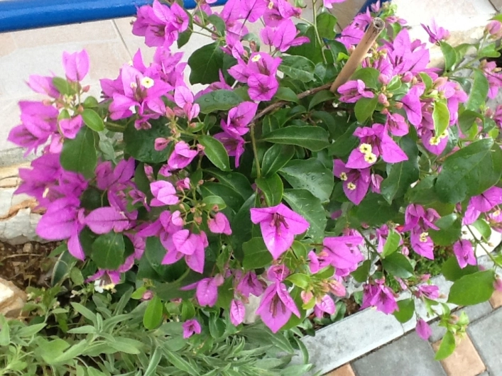 zobacz camping - zdjęcie 8