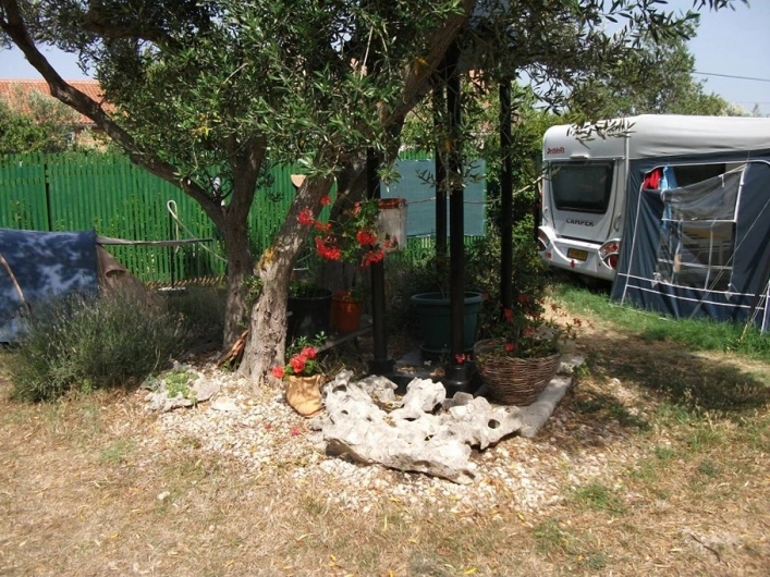 zobacz camping - zdjęcie 39