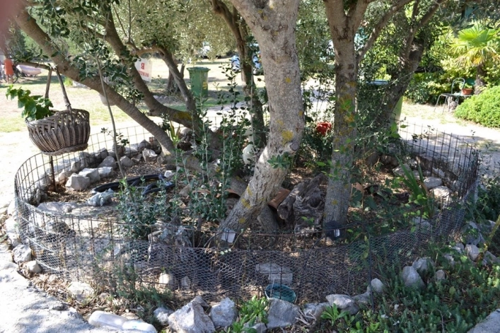 zobacz camping - zdjęcie 25