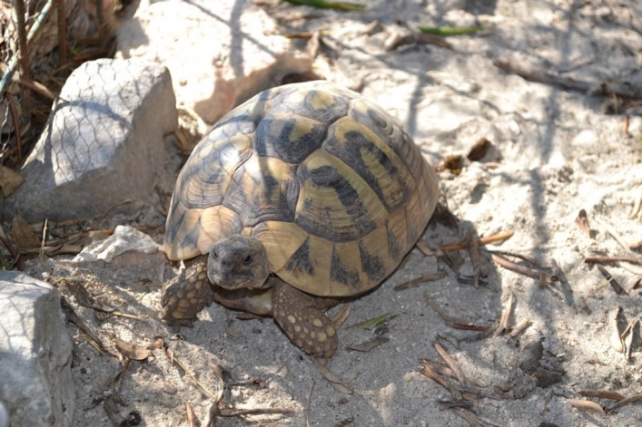 zobacz camping - zdjęcie 24