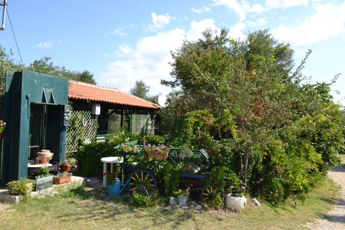 zobacz camping - zdjęcie 21