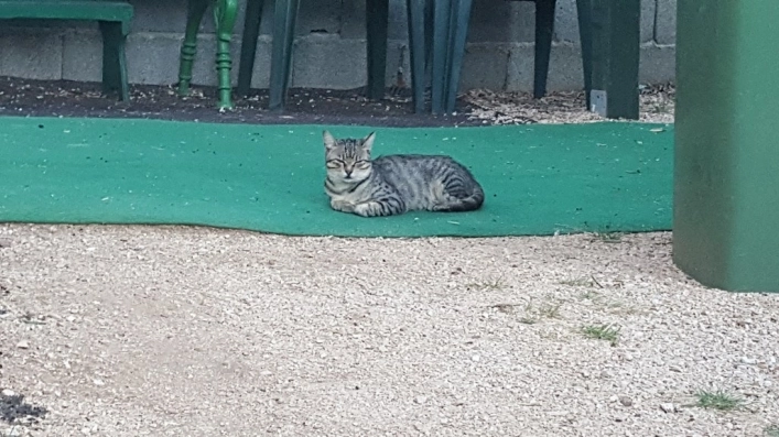 zobacz camping - zdjęcie 13