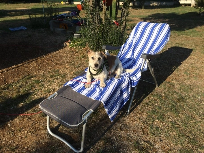 Autocamp Matija - zdjęcie 2